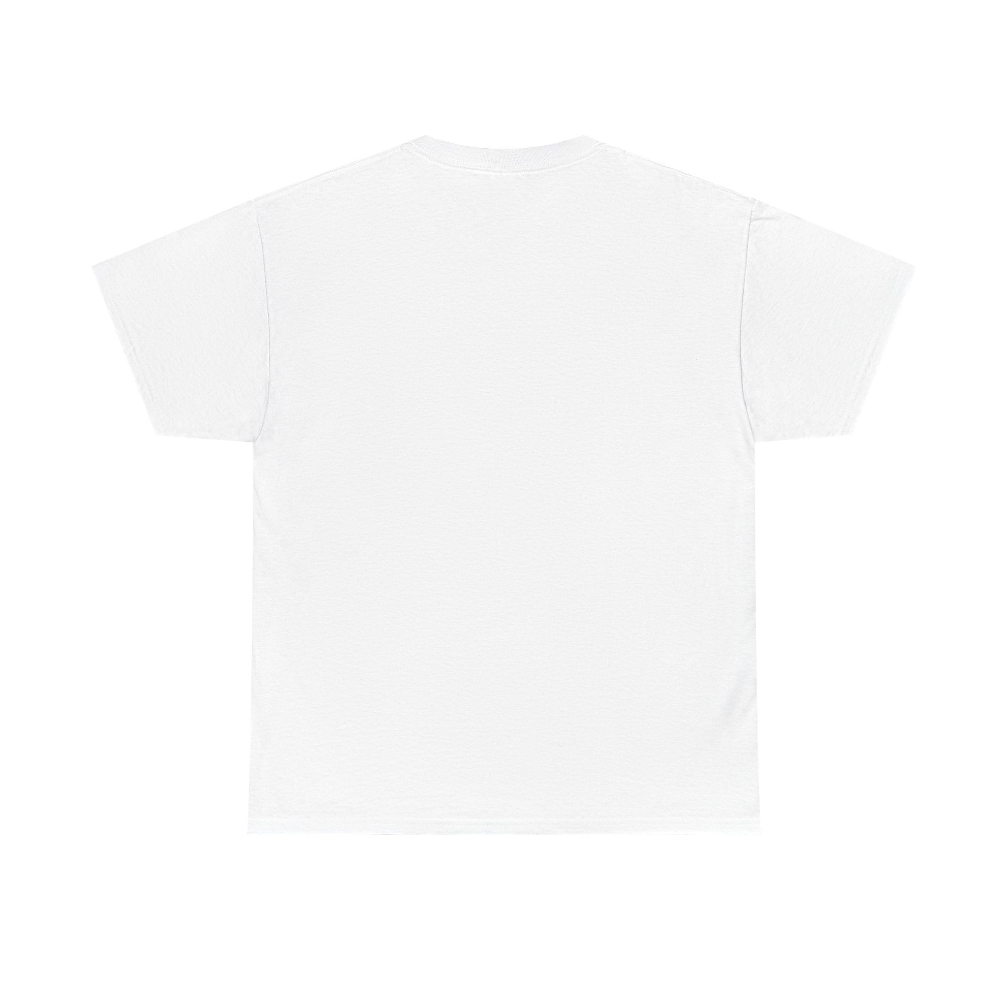 DM Parameter Tee White